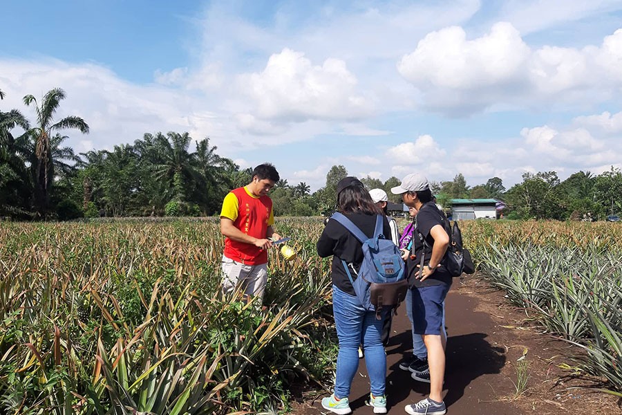 Outdoor Interview and Report Experience in Pekan Nenas, Johor